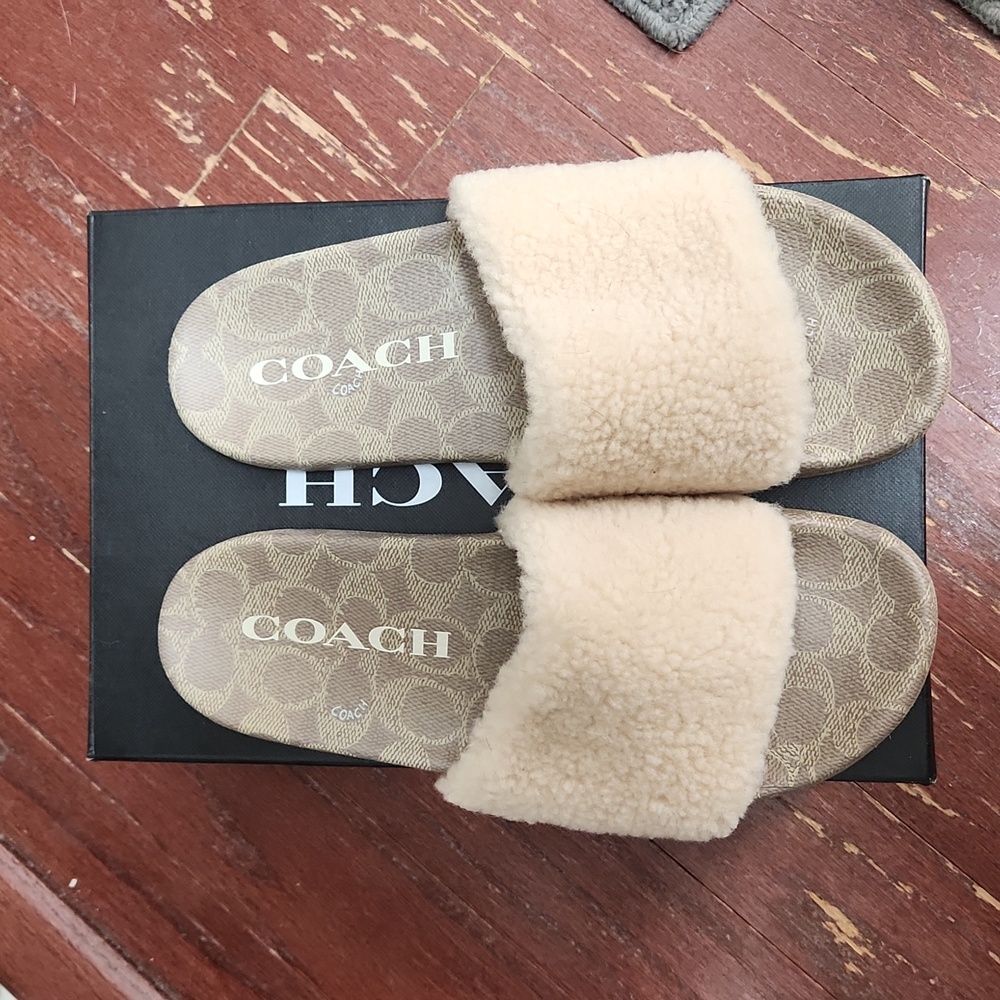 Coach Ulla Sherling Slide